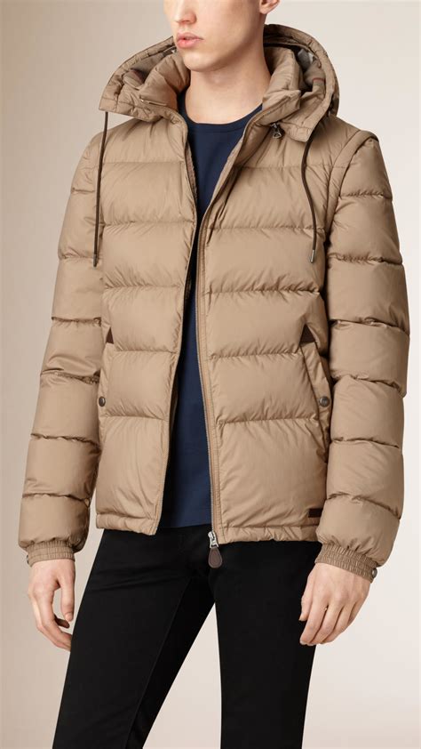 burberry taupe brown|Burberry clothing for men.